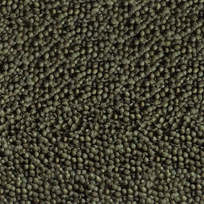 Goldy Color Spirulina 100 ml