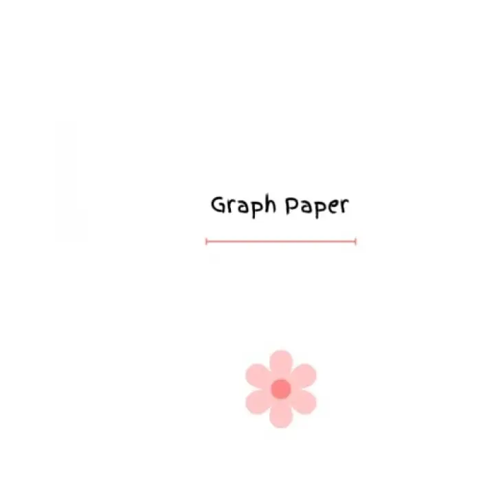 Grafik Kağıdı 8x5 100 pages