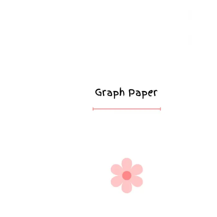 Grafik Kağıdı 8x5 100 pages