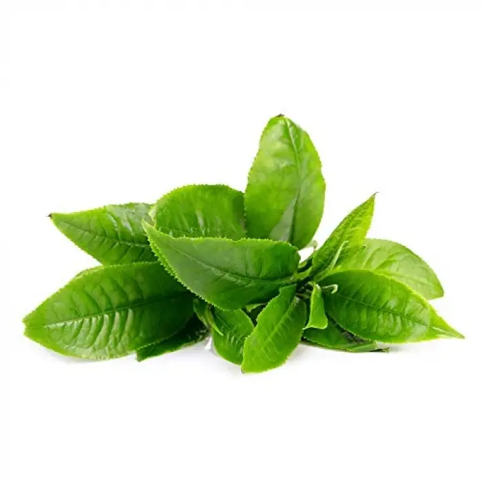 Green Tea Ufo Activated Mask (1 x 6 Adet)