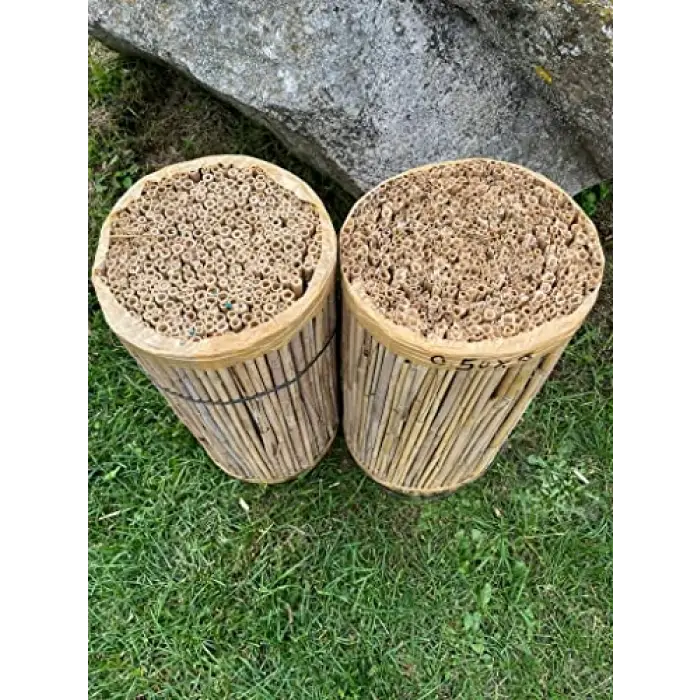 Greenosier 1mX3m hasır kamış çit