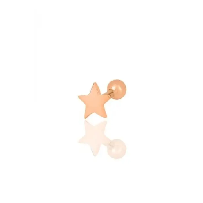 Gümüş rose yıldız modeli Tragus helix Piercing küpe [barcode]