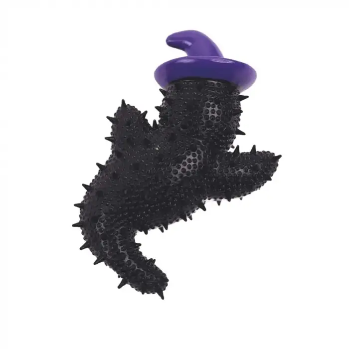 Halloween Black Wizard Köpek Oyuncağı