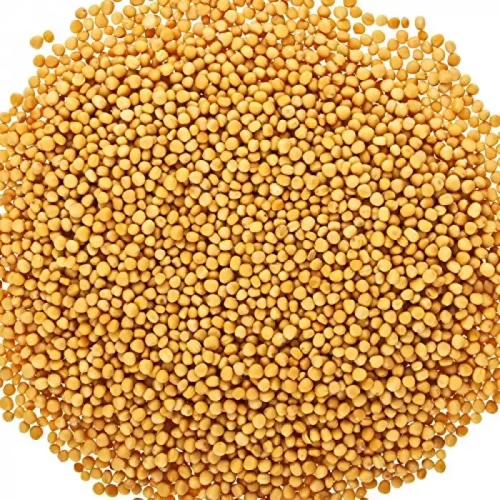 Hardal Yağı 50 Ml