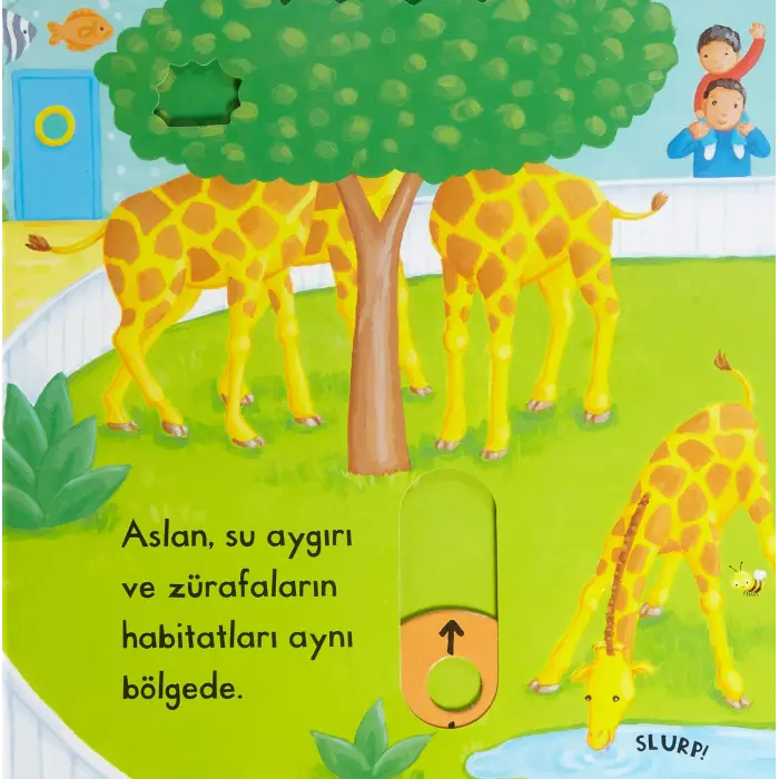 Hareketli Hayvanat Bahçesi Çocuk Kitabı