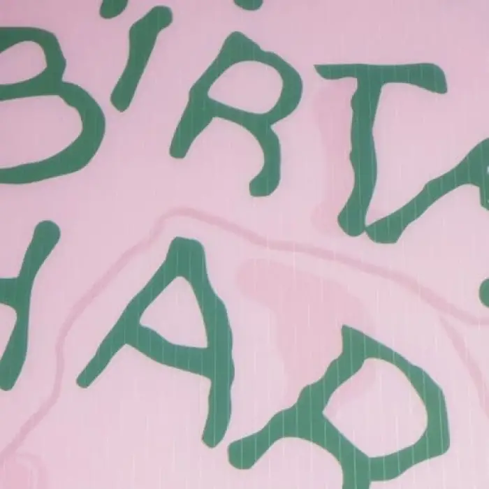 Harry Potter - Happe Birtdae Harry Lisanslı Amerikan Servis