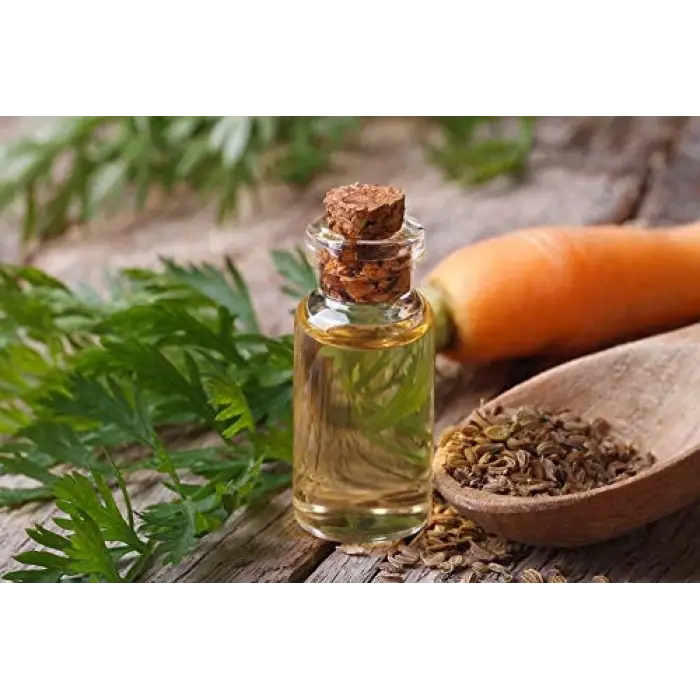 Havuç Tohumu Yağı 20 Ml