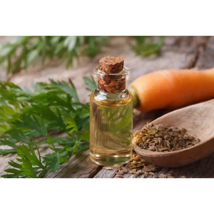 Havuç Tohumu Yağı 20 Ml