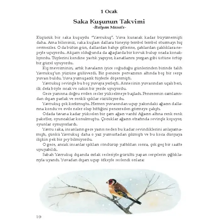 Her Güne Bir Masal