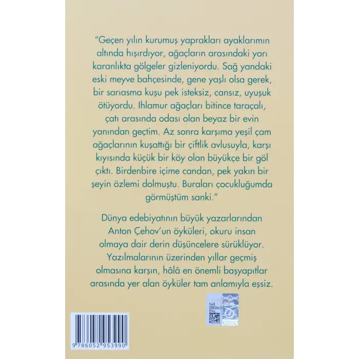 Hikayeler – Kısaltılmış Metin