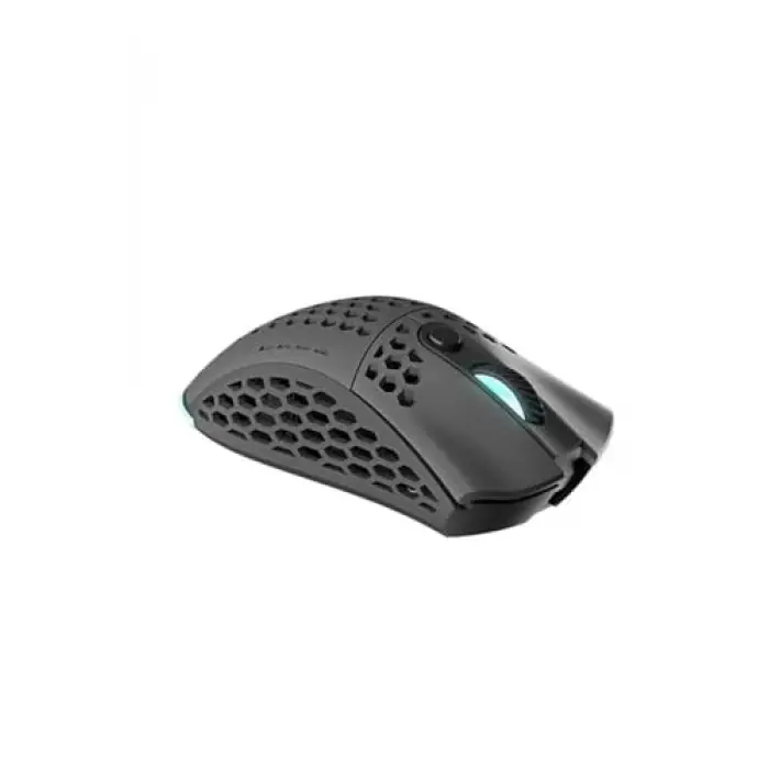 HOF ACE M2 BLACK ARGB Kablosuz Gaming Mouse Siyah