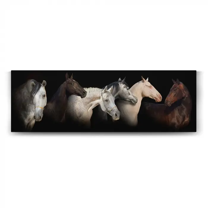 Horses Panorama Görseli, 120x40 cm Duvar Tablosu