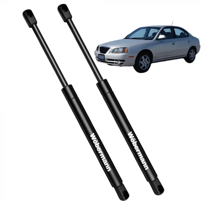 Hyundai Elentra V Kapı 2000-2006 Uyumlu Sağ Sol Bagaj Amortisörü Takımı