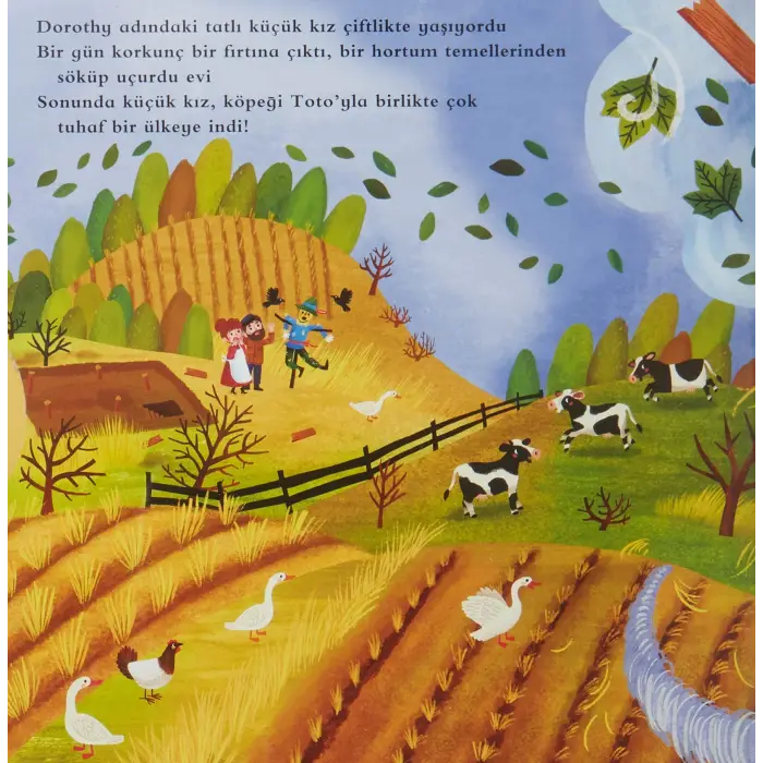İlk Öyküler: Oz Büyücüsü, Ciltli