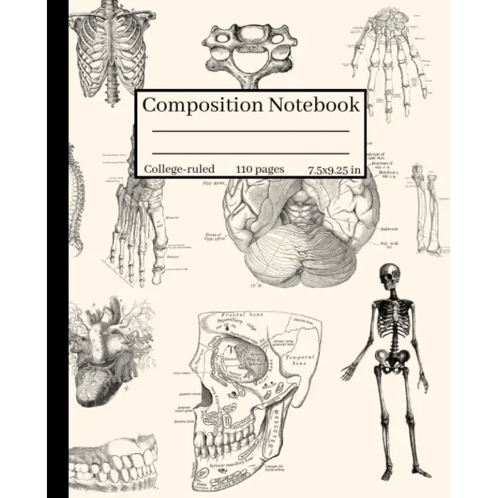 Independently published Composition Notebook College-ruled : Human Anatomy and Physiology Illustration: For Back to School, College, Medical Students, Nurses, Researchers or Work