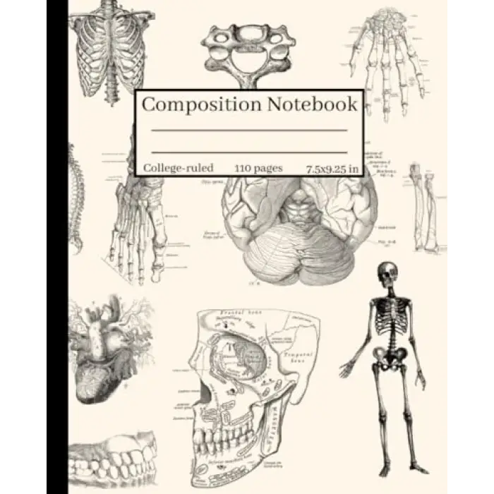 Independently published Composition Notebook College-ruled : Human Anatomy and Physiology Illustration: For Back to School, College, Medical Students, Nurses, Researchers or Work
