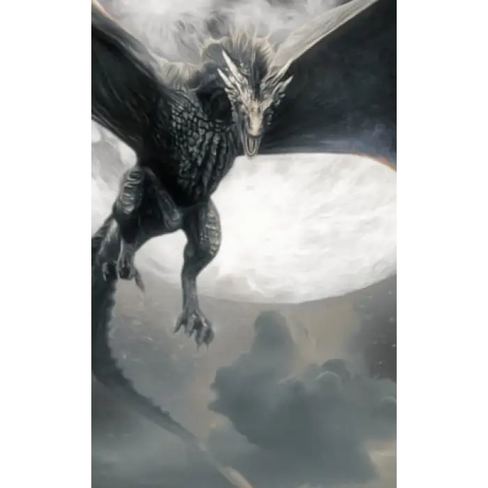 Independently published Dragon[3] 5x8 Pocket Journal