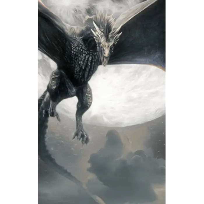 Independently published Dragon[3] 5x8 Pocket Journal