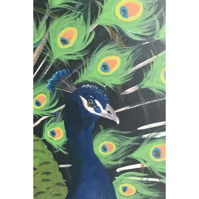 Independently published Gorgeous Peacock Journal