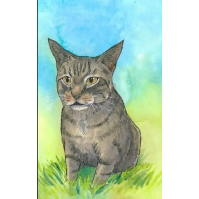 Independently published Journal: Journal with brown tabby cat