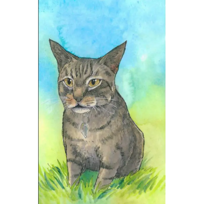 Independently published Journal: Journal with brown tabby cat