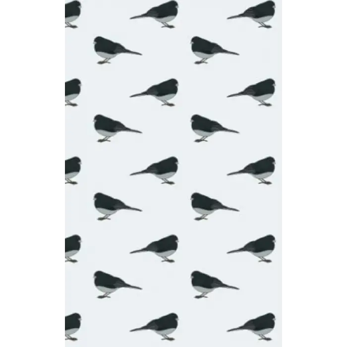 Independently published Junco Notebook 5x8