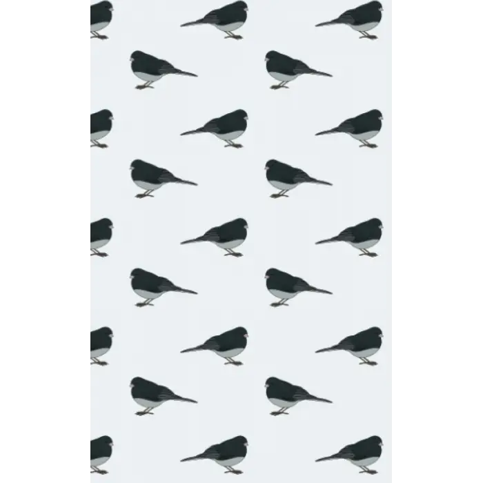 Independently published Junco Notebook 5x8
