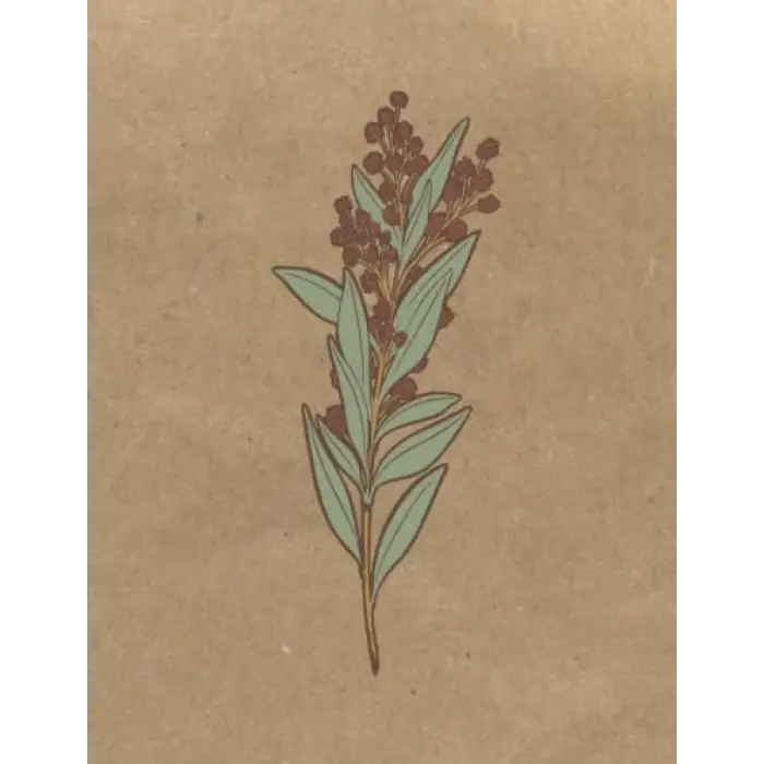 Independently published Materia Medica Herbalist Journal: A Personal Herb Tracking Notebook, Botanical Cover Design, DIY Botanical Directory for Herbal Studies, 105 8.5x11 pages