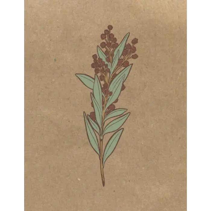 Independently published Materia Medica Herbalist Journal: A Personal Herb Tracking Notebook, Botanical Cover Design, DIY Botanical Directory for Herbal Studies, 105 8.5x11 pages
