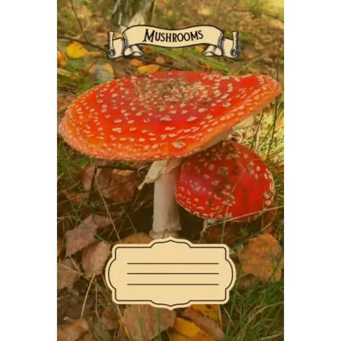 Independently published Red Toadstool - Fly Agaric - Amanita Muscaria: Notebook with lined paper