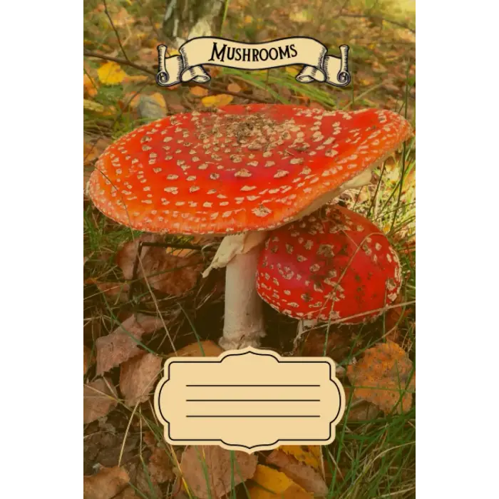 Independently published Red Toadstool - Fly Agaric - Amanita Muscaria: Notebook with lined paper