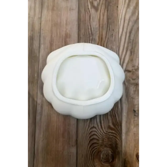 İSTİRİDYE Silikon Kap Kalıbı