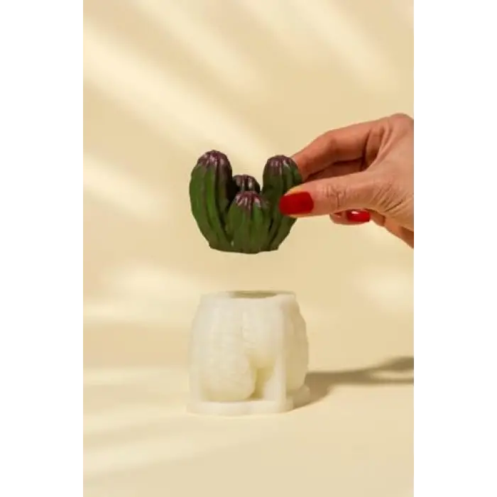 Kaktüs Silikon Mum Kalıbı
