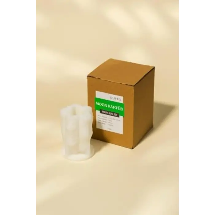 Kaktüs Silikon Mum Kalıbı