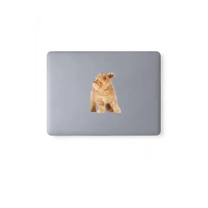 Karışık 130 adet sevimli kediler notebook, tablet, telefon sticker seti (10 sayfa) Tek Ebat