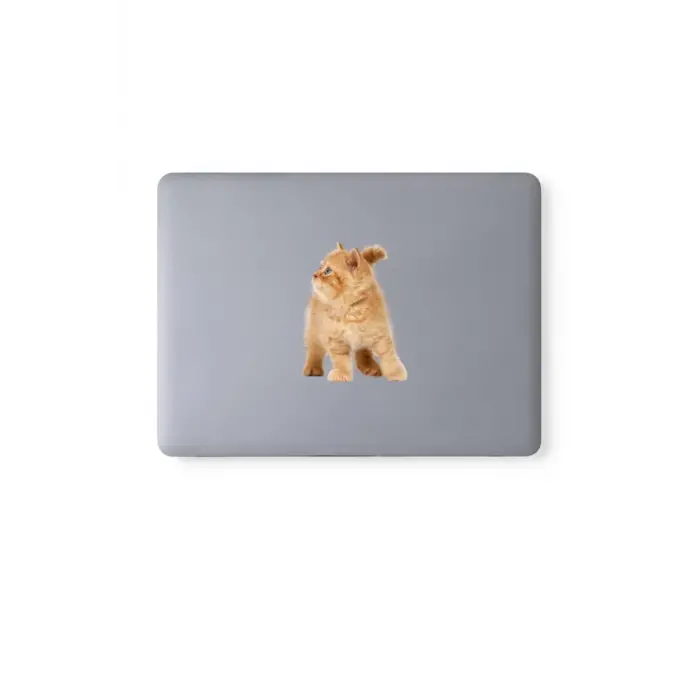Karışık 260 adet sevimli kediler notebook, tablet, telefon sticker seti (20 sayfa) Tek Ebat