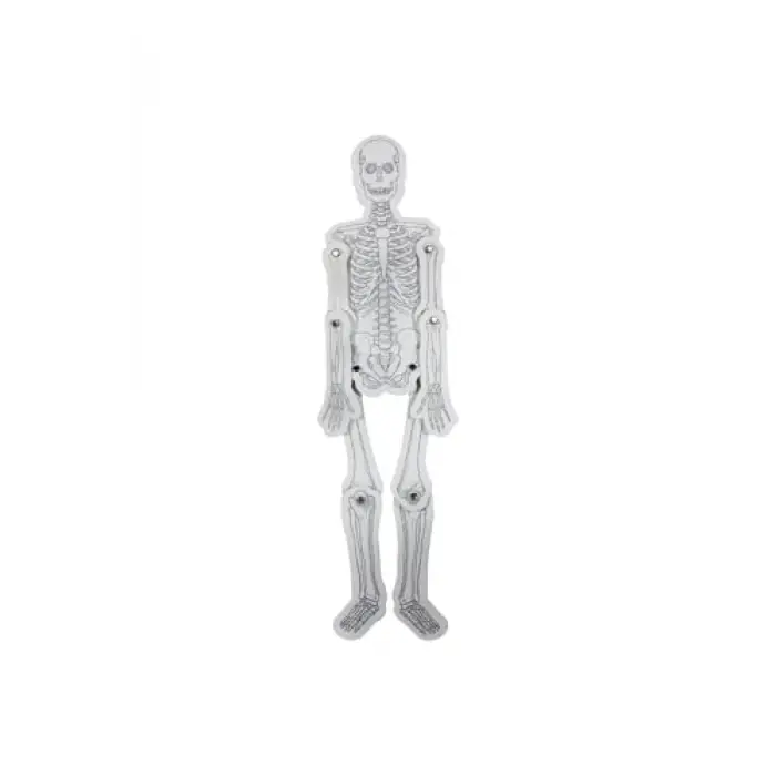 Karton İskelet Seti Sistemi - Maket 1299145373