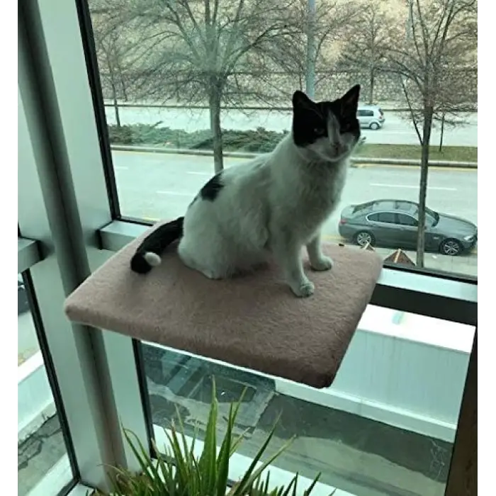 Kedi Cam Önü Oturma Platformu