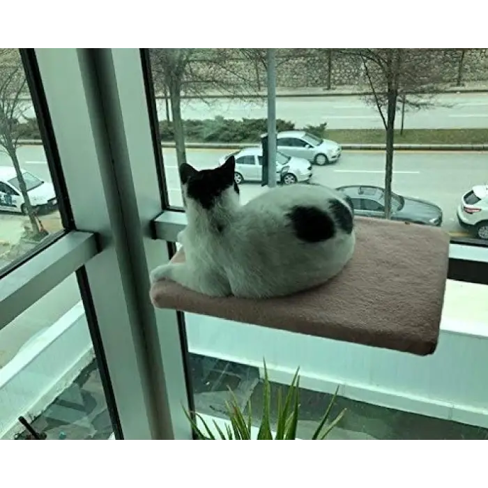 Kedi Cam Önü Oturma Platformu