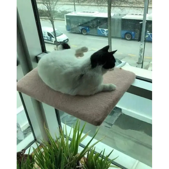 Kedi Cam Önü Oturma Platformu
