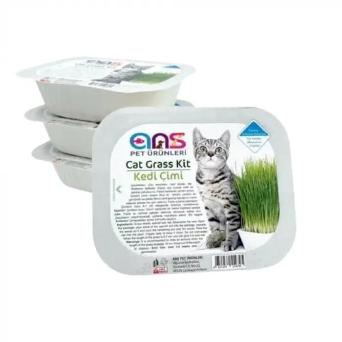 Kedi Çimi 1 Paket