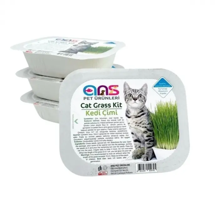 Kedi Çimi 1 Paket