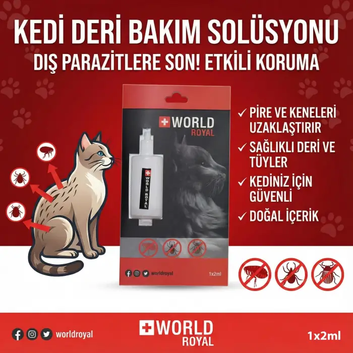 Kedi Deri Bakım Solüsyonu