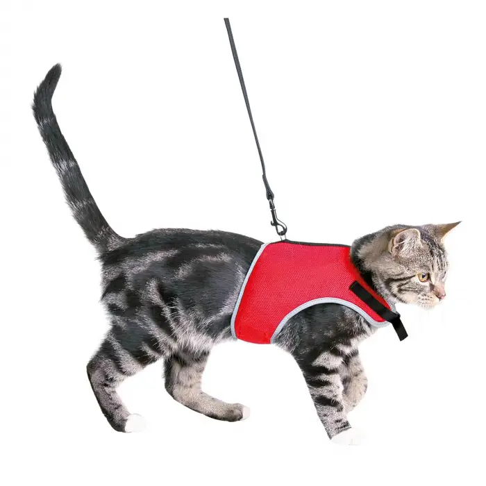 Kedi Göğüs Tasma Seti 24-42 Cm/1. 20M