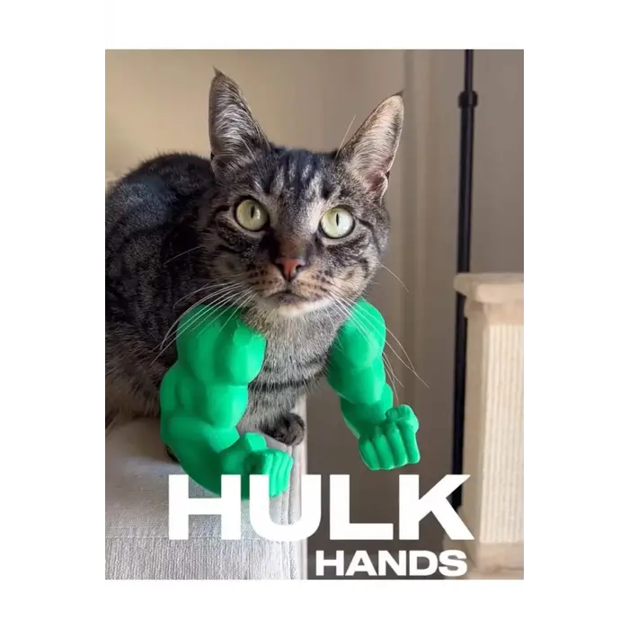 Kedi Hulk Kolu
