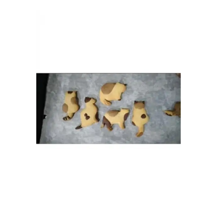 Kedi Kurabiye Kalıbı Seti (4 Parça), Tek Ebat