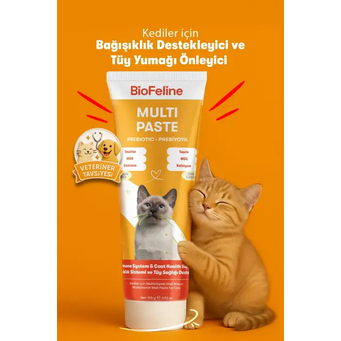Kedi Multivitamin Macunu 100g
