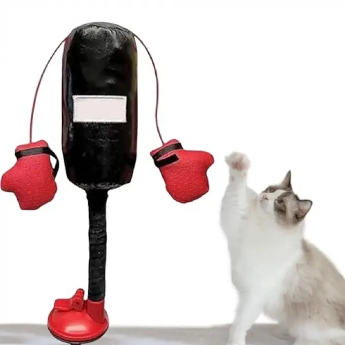 Kedi nanesi içeren mini boks torbası ve eldiven seti