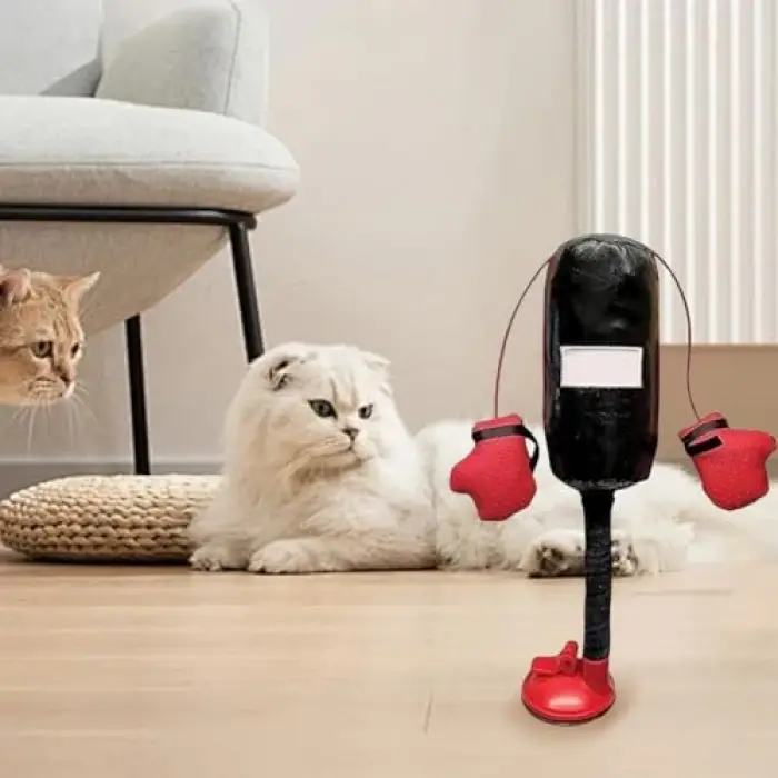 Kedi nanesi içeren mini boks torbası ve eldiven seti
