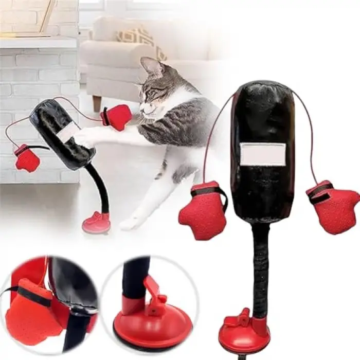 Kedi nanesi içeren mini boks torbası ve eldiven seti